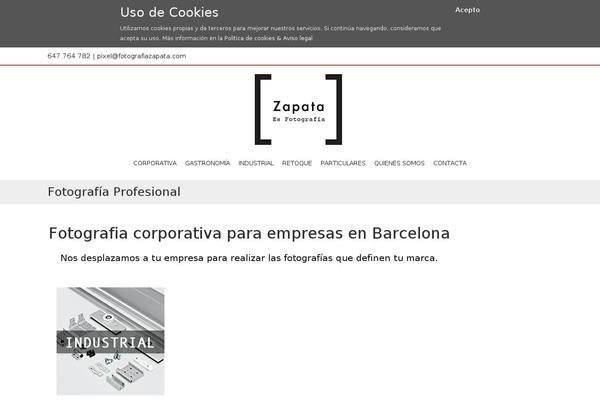Accesspressray-pro theme site design template sample