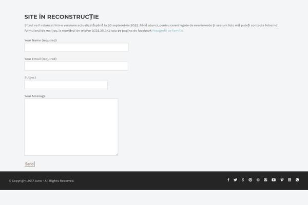 Juno theme site design template sample