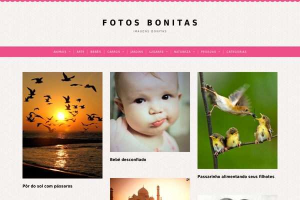 fotosbonitas.com.br site used Richbox