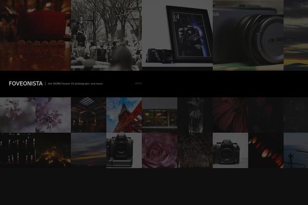 Fullscreen theme site design template sample