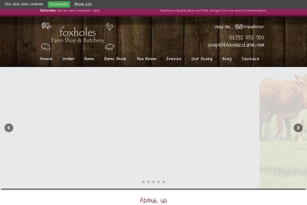 WordPress website example screenshot