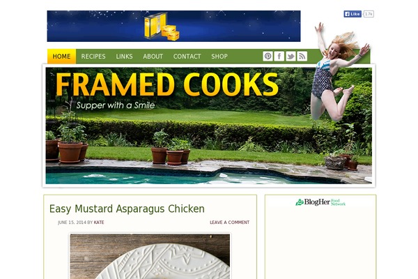framedcooks.com site used Cookdpro-v444