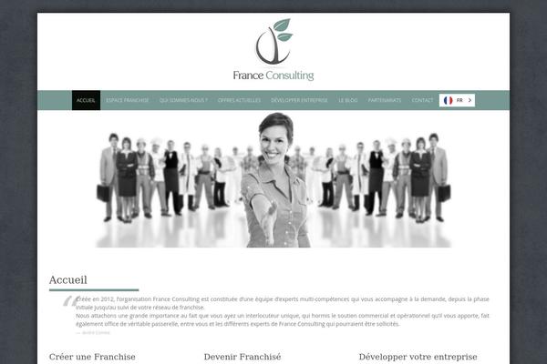 france-consulting.fr site used Puresimple