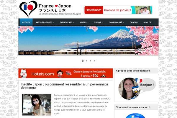 francejapon.fr site used Francejapon