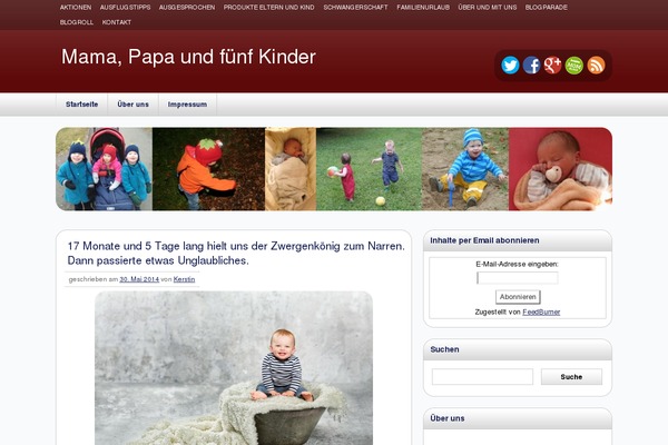 zeeNewsPro theme websites examples