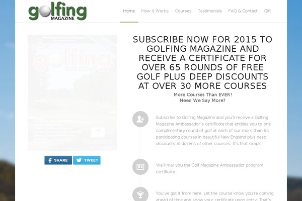 Enfold theme site design template sample