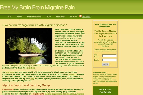 freemybrain.com site used Green-and-brown