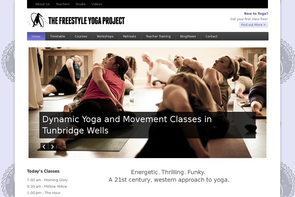 freestyleyogaproject.com site used Function-update
