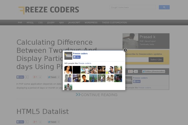 Freeze theme websites examples