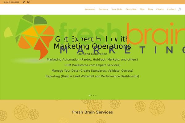 freshbrainmarketing.com site used Freshtheme