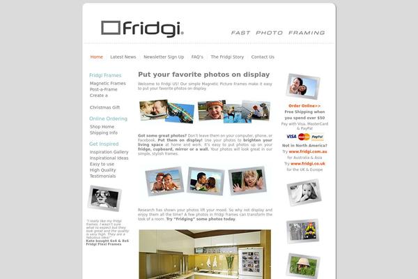 Arti_Fridgi_US_Theme_v14 theme websites examples