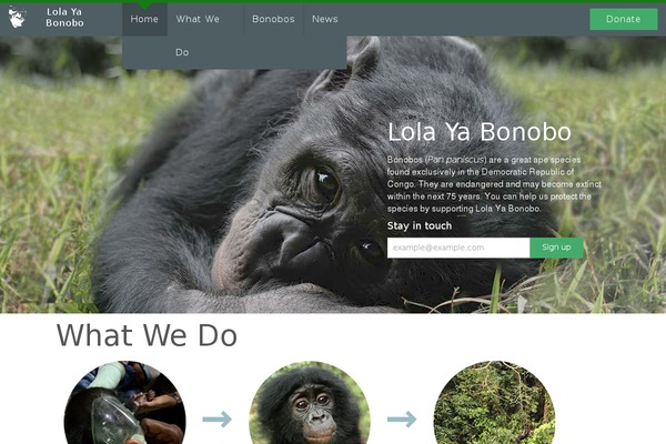 bonobos-theme-new theme websites examples