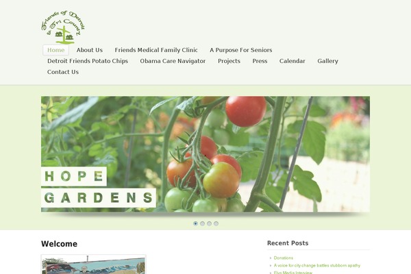 WordPress website example screenshot