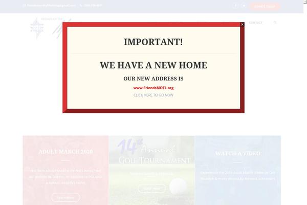 Charitywp theme site design template sample