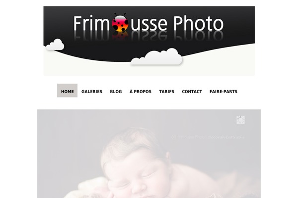 Photocrati theme site design template sample