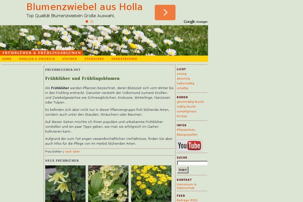 Site using Autoptimize plugin