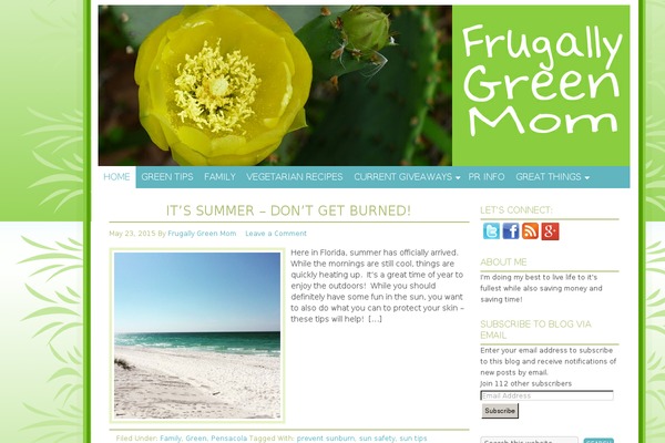 Site using Simple Social Icons plugin