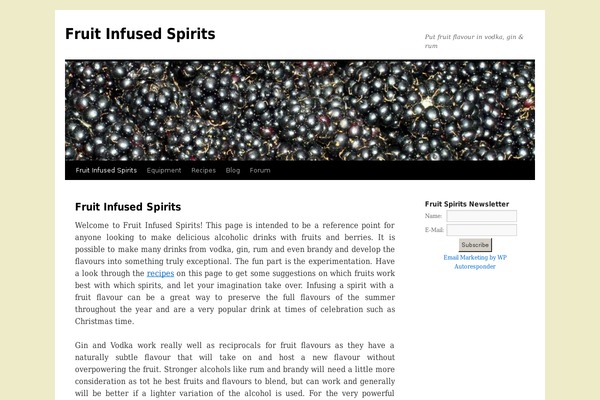 Twenty Ten theme site design template sample