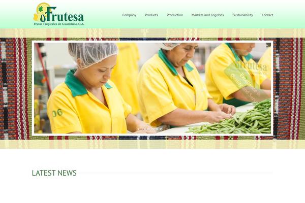 Avada Child Theme theme site design template sample