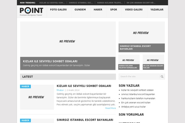 WordPress website example screenshot