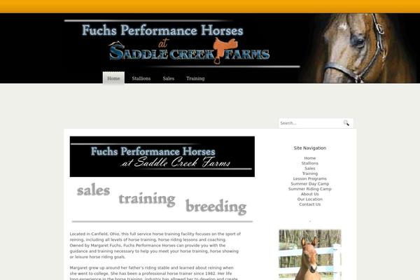 fuchsperformancehorses.com site used Backtimer
