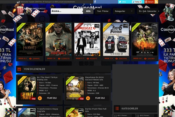 sinema theme websites examples