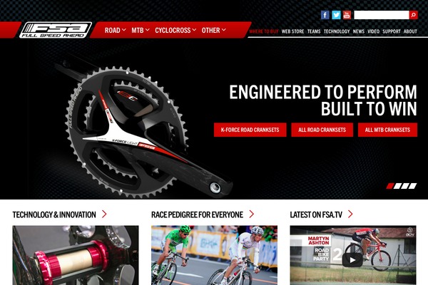 fsa theme websites examples