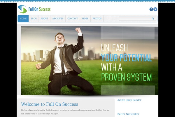 Success theme site design template sample