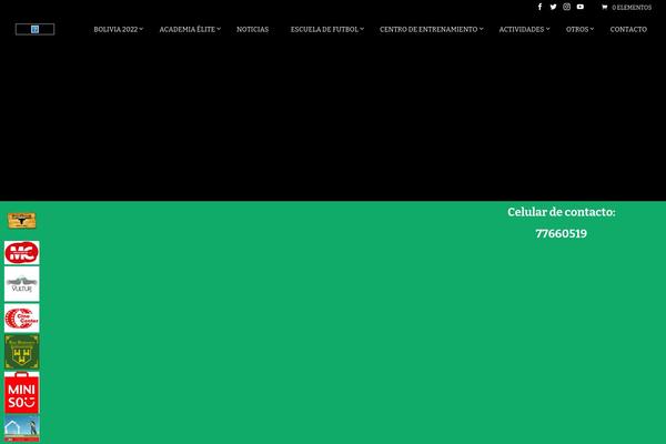 Divi Child theme site design template sample