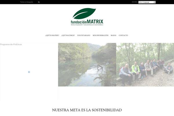 fundacionmatrix.es site used Fundacion