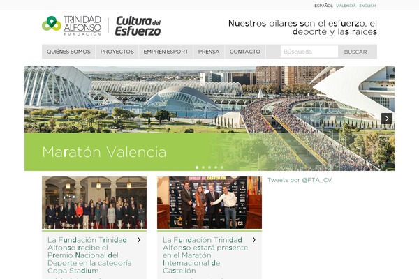 fundaciontrinidadalfonso.org site used Fta