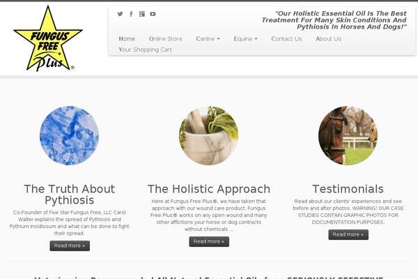 Customizr theme site design template sample