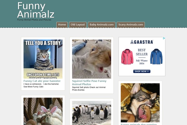 funnyanimalz.com site used Snappy