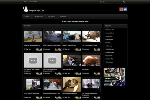funnycatvideoclips.com site used Sam-video