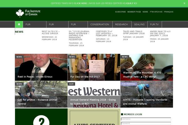Weekly News theme site design template sample