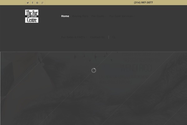 Salient theme site design template sample
