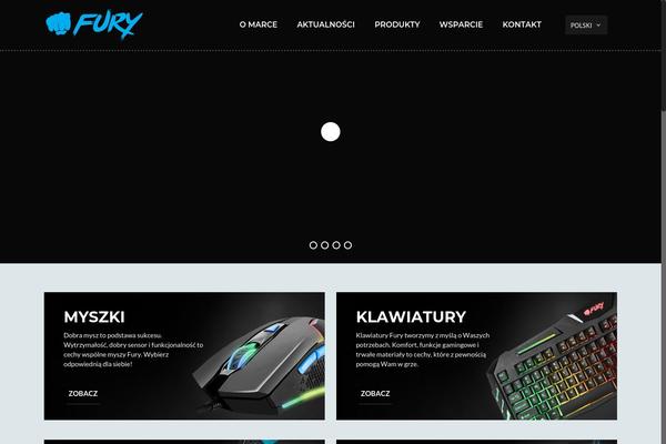 fury-zone.com site used Fury