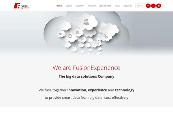 fusion-experience.com site used Qms_custom_theme