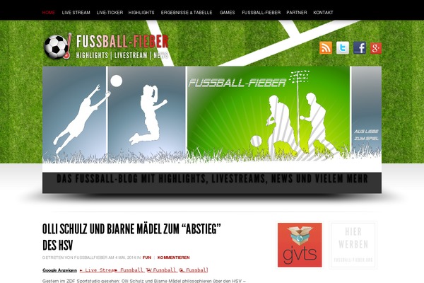 fussball-fieber.org site used Soccer2010