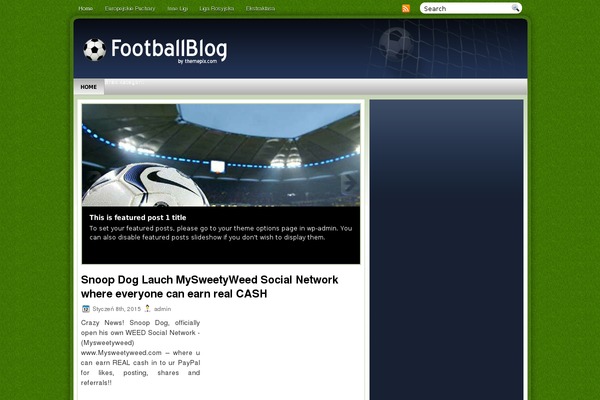 FootballBlog theme websites examples