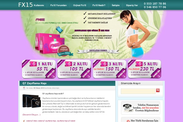 Fx15 WordPress theme, websites list used Fx15 theme Fx15 theme websites examples