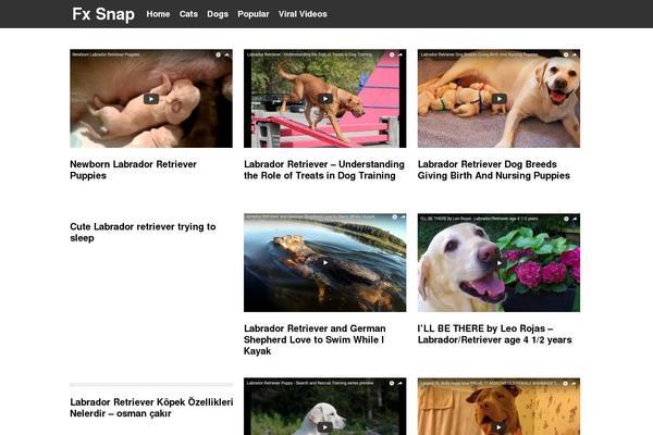 fxsnap.com site used ViralFree