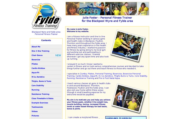 fyldefitnesstraining.com site used Fyldefitness