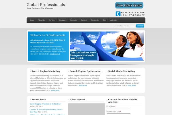 Enterprise theme site design template sample