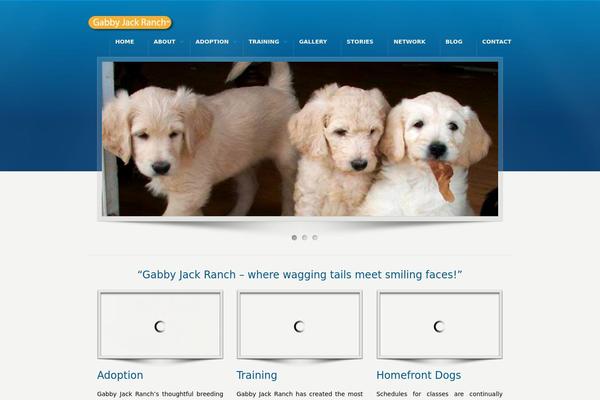 Site using AddToAny Share Buttons plugin