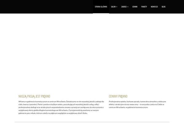 Shoestrap 3 theme site design template sample