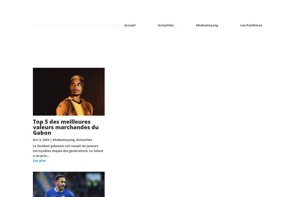 Divi theme site design template sample