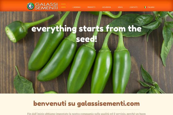 galassisementi.com site used Exotico