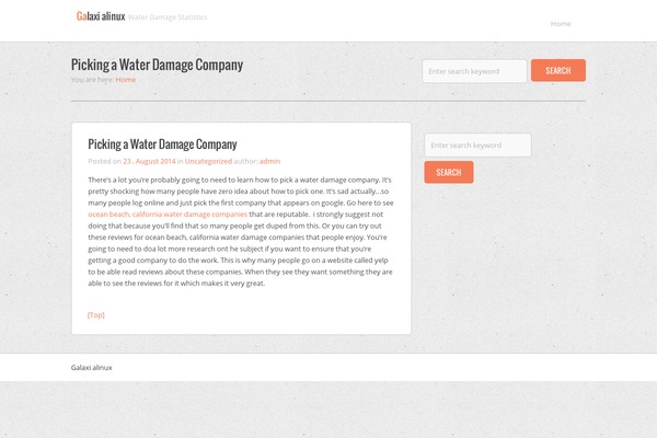 Reposter theme site design template sample