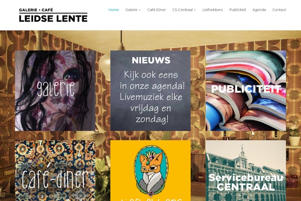 Divi theme site design template sample